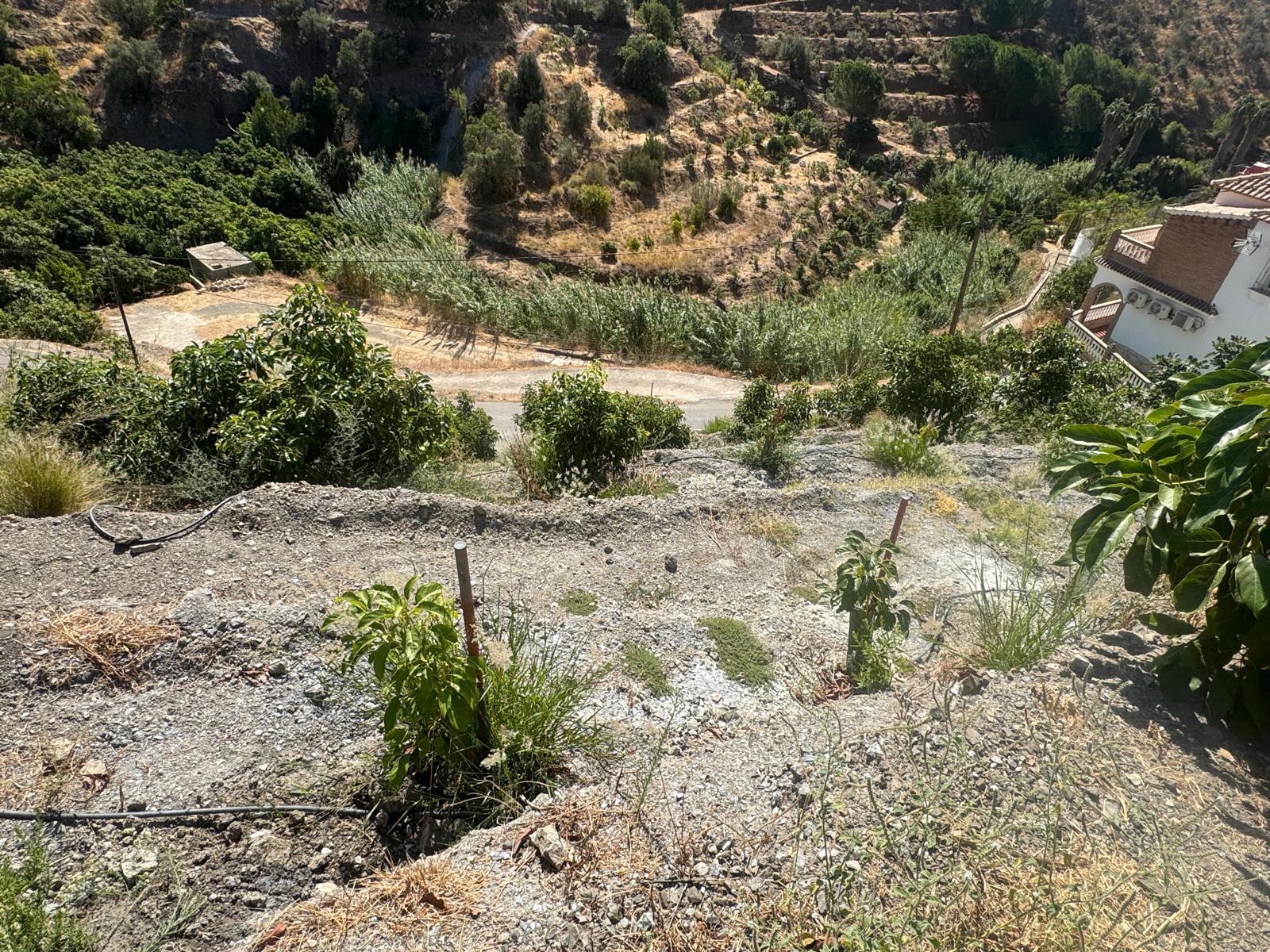 IMG-20250915-WA0019